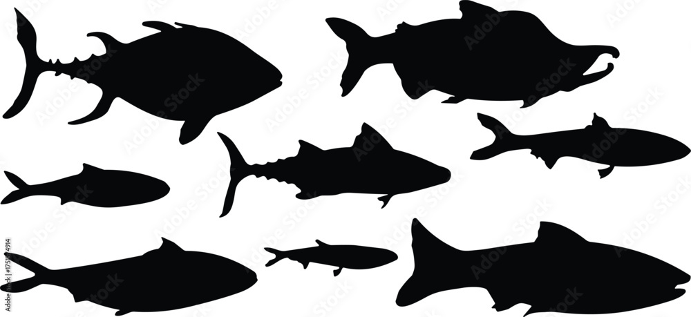 Fototapeta premium Set of black fish silhouettes isolated on white background, various aquatic species, marine animal icons for design and decoration
