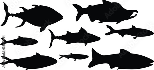 Set of black fish silhouettes isolated on white background, various aquatic species, marine animal icons for design and decoration