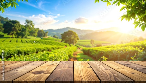Wooden table over a tea plantation landscape