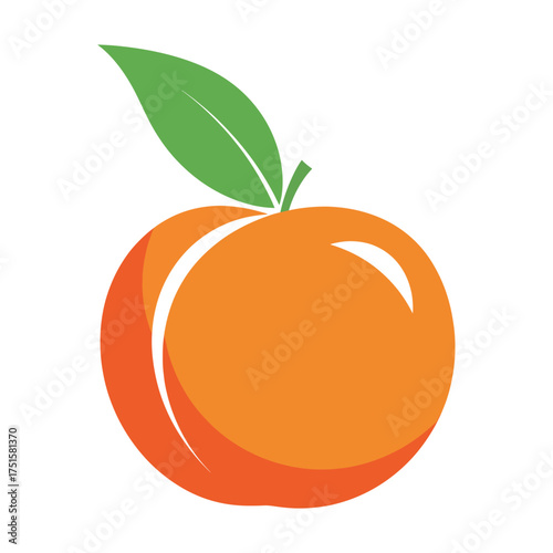 Simple orange fruit with green leaf isolated on