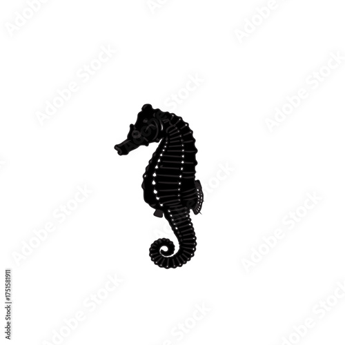 Silhouette Seahorse