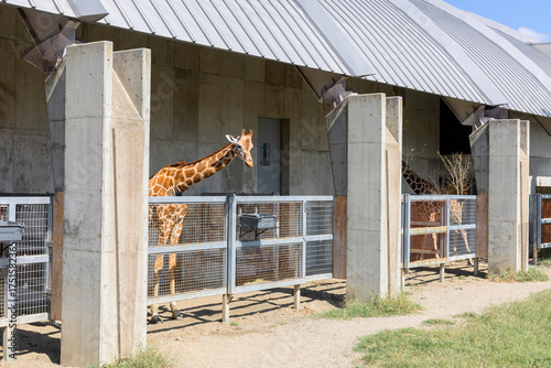 茨城県・霞ヶ浦ふれあいランドの現代的な建築と動物たち