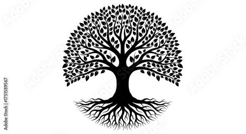 Black silhouette of a tree of life isolated on white background