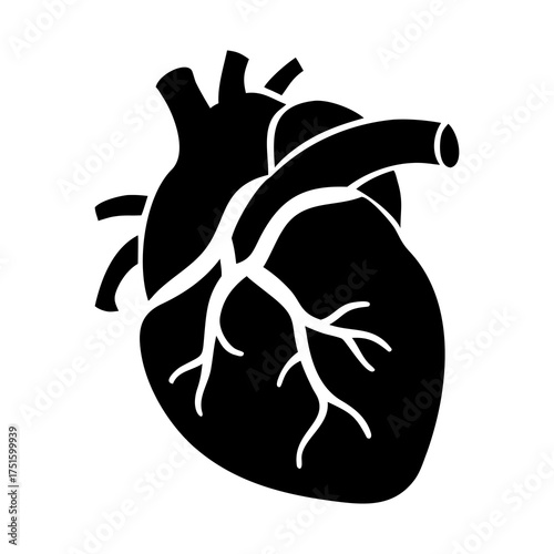 Simple Black and White Silhouette of a Human Heart, Perfect for Medical or Health Graphics