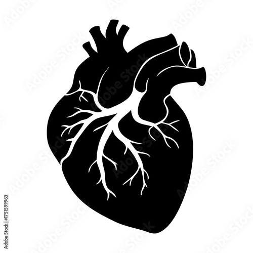 Black silhouette of a human heart with arteries and veins, symbolizing life and health