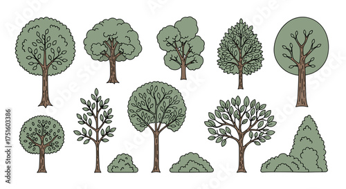 A collection of hand-drawn deciduous trees and shrubs in various shapes and sizes, perfect for landscape design.