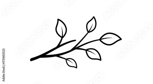 A delicate sketch of a plant branch with multiple leaves is presented on a stark white background.