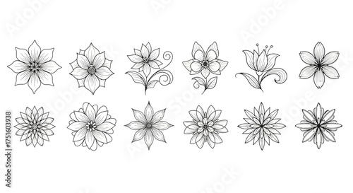 Collection of delicate floral ornaments and decorative elements