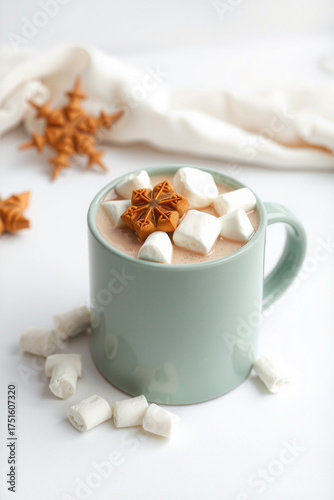 A Mug Of Hot Chocolate With Marshmallows On A White Backgrou