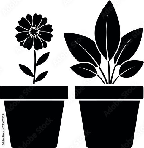 Two potted plants silhouettes one daisy flower and a lush leafy green houseplant vector