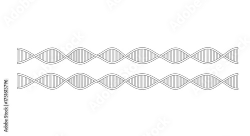 Abstract illustration of two parallel dna double helix strands