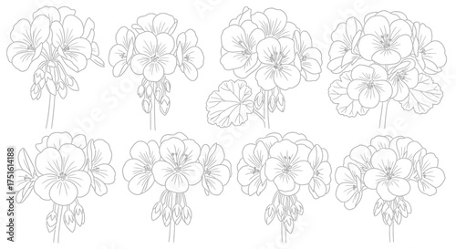 Collection of eight delicate line art floral illustrations arranged in two rows