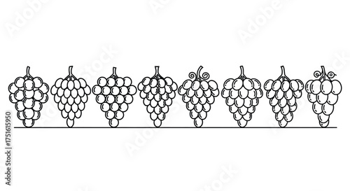 Grape line art isolated on white background for food and fruit design