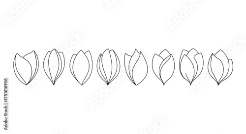 Collection of tulip flower buds isolated on white background in line art
