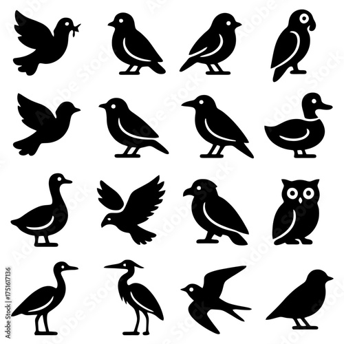 Collection of Avian Silhouettes: A diverse assembly of avian silhouettes, rendered in stark black, capturing a variety of bird forms and postures suitable for design usage.