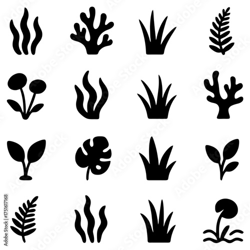Botanical Silhouette Collection: A versatile assortment of elegantly crafted black silhouettes of flora.