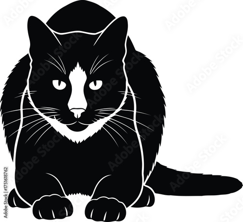 Vector art of black and white cat sitting and looking forward