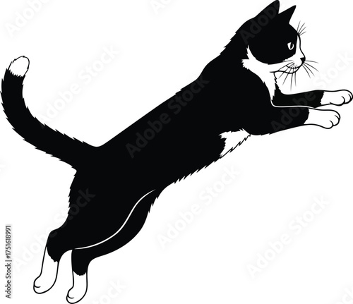 Vector art of black and white cat jumping