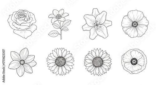 Hand drawn flowers isolated on white background in vintage style vector