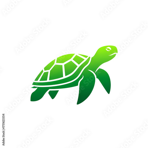 Green Turtle Animal Graphic on transparent background