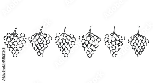 Hand drawn grape bunch set isolated on white background