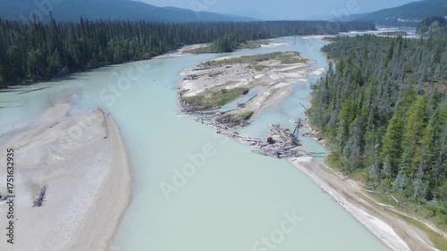 Cinematic aerial footage over a remote mountain river. The camera reveals a complex network of channels, sandbars, and logjams, set against the backdrop of a dense pine forest.