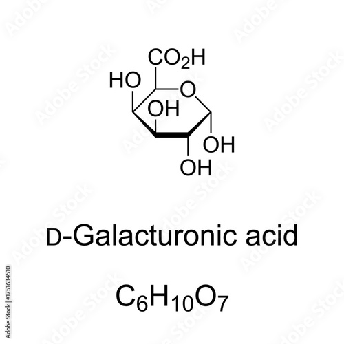 D-Galacturonic acid, chemical formula and structure. D-Galacturonopyranose, sugar acid and oxidized form of D-galactose. Main component of pectin, in which it exists as polymer polygalacturonic acid.