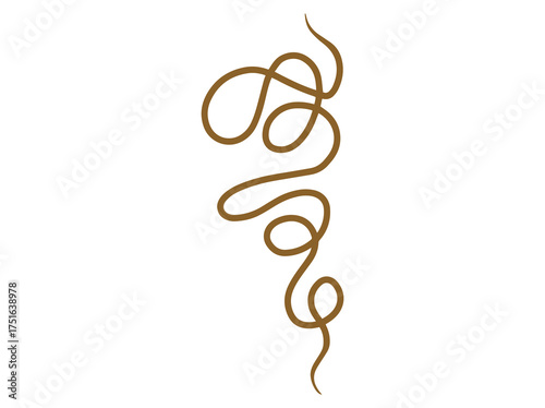 Horsehair Worm Mantis Parasite Illustration
