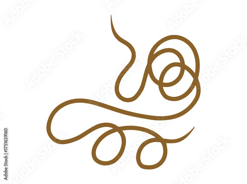 Worm Mantis Parasite
