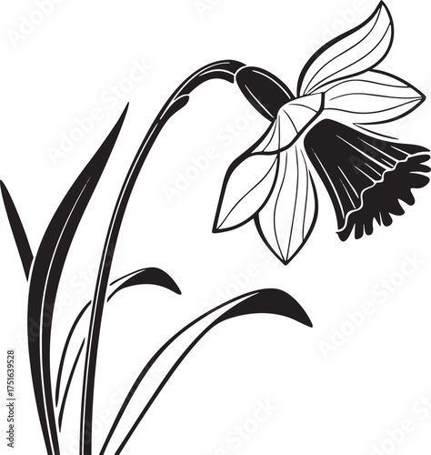 daffodil flower silhouette