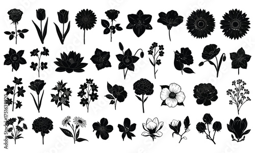Collection of flower silhouettes elegant floral vector set for wedding invitations cards and botanical designs 