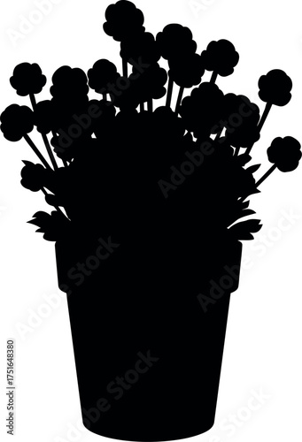 Silhouetted potted chrysanthemums with delicate blossoms and stems full of life vector