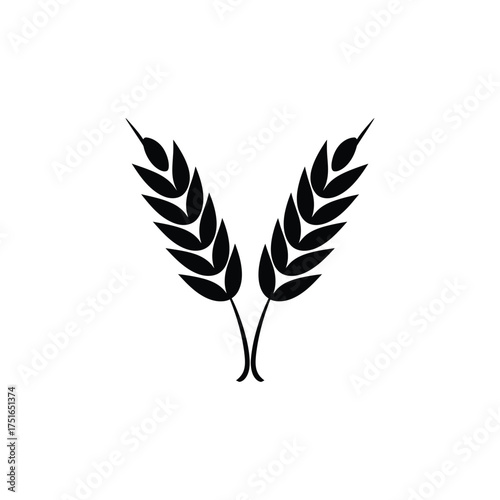 Three Black Wheat Stalks Silhouette with Transparent Background Design element