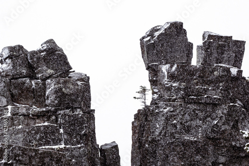 Little fir grows in massive rocks in mountains, snowing.