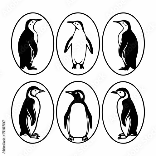 Set of six penguin illustrations in oval frames, showcasing antarctic bird