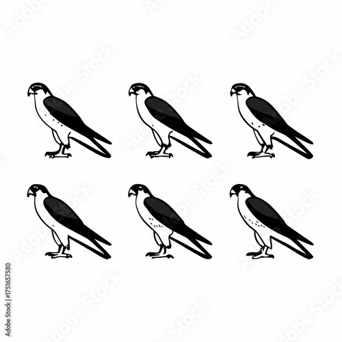 Six peregrine falcons in a pattern, a vector illustration, a bird of prey
