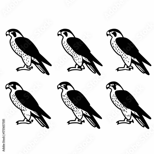 Collection of six falcon icons in black and white, each standing