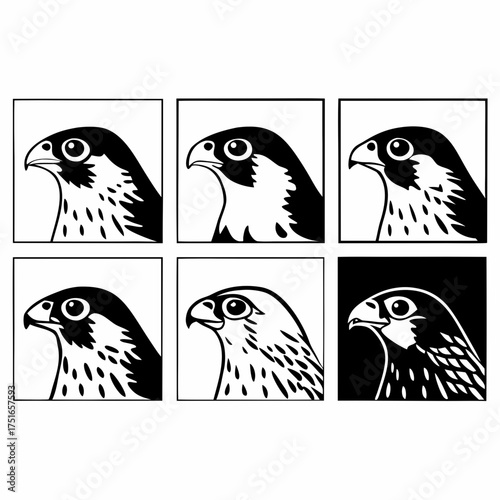 Six peregrine falcon heads in squares, a vector illustration, a bird of prey