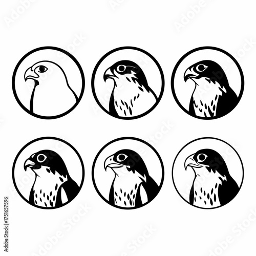 Six peregrine falcon heads in circles, a vector illustration, a bird of prey