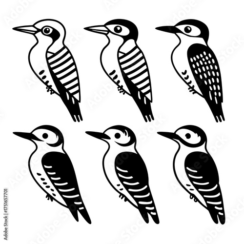 Collection of woodpecker bird icons in vector format for graphic design use