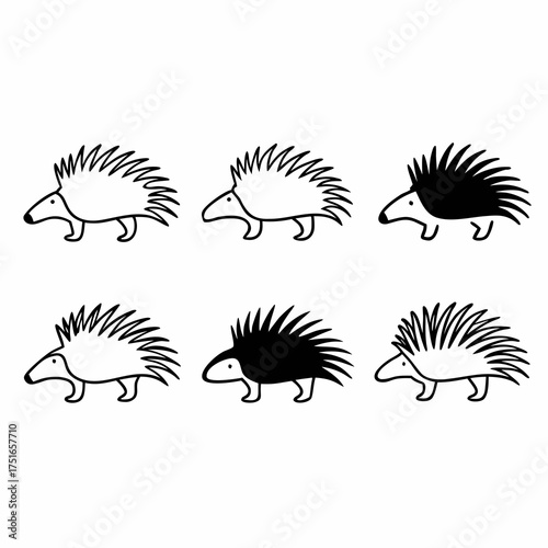 Illustration of six porcupines in black and white, perfect for nature designs