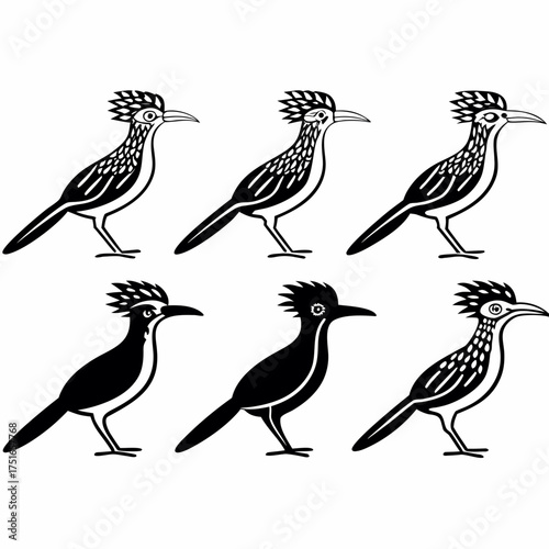Six roadrunners, in black and white, vector illustration, different style