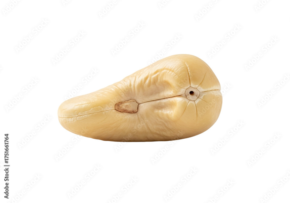 Fototapeta premium Cashew nut isolated on transparent background