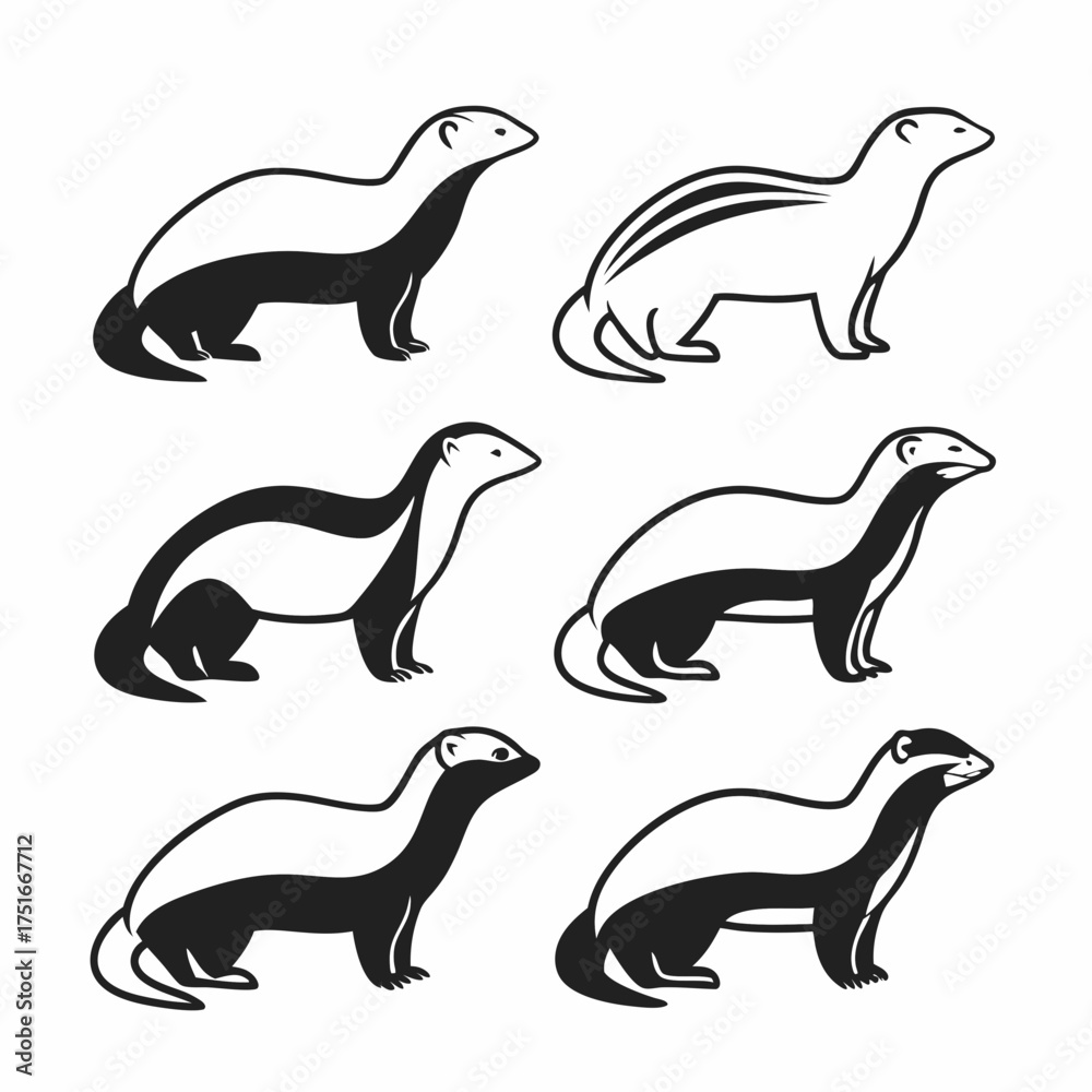 Fototapeta premium Collection of six ferret illustrations in various poses and markings