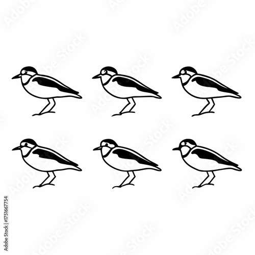 Illustration of six common ringed plover, showcasing their distinctive plumage and silhouette