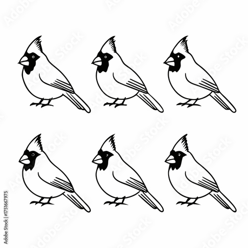 Six cardinal bird illustrations in black and white, showcasing avian beauty