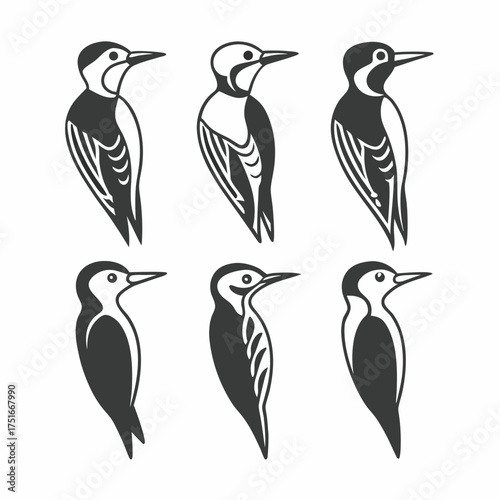 Collection of woodpecker bird icons in black and white, vector illustration
