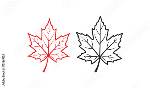 Two hand drawn maple leaves one red outline one black outline