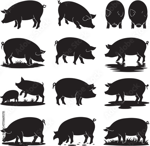 Black pig silhouette collection for farm and agriculture themes