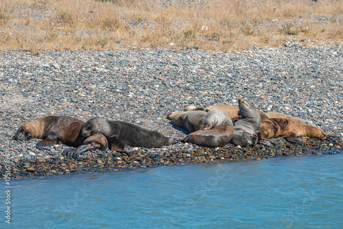Atlantic Ocean coastline in peninsula Valdes Patagonia with colony sealions, Argentina